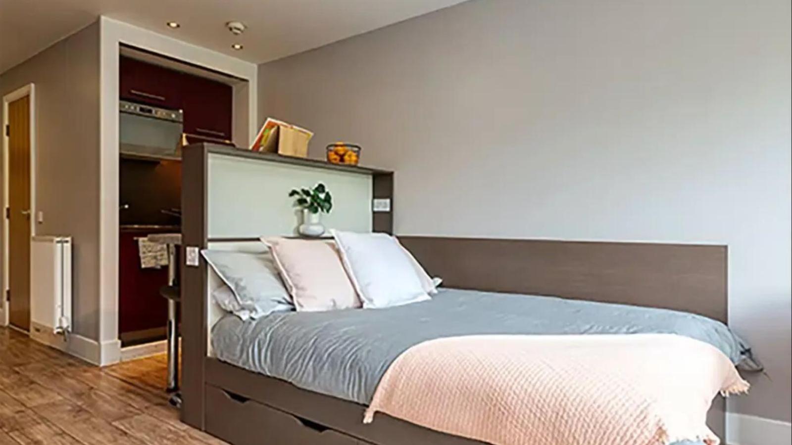 Student Only, Private In Apartment